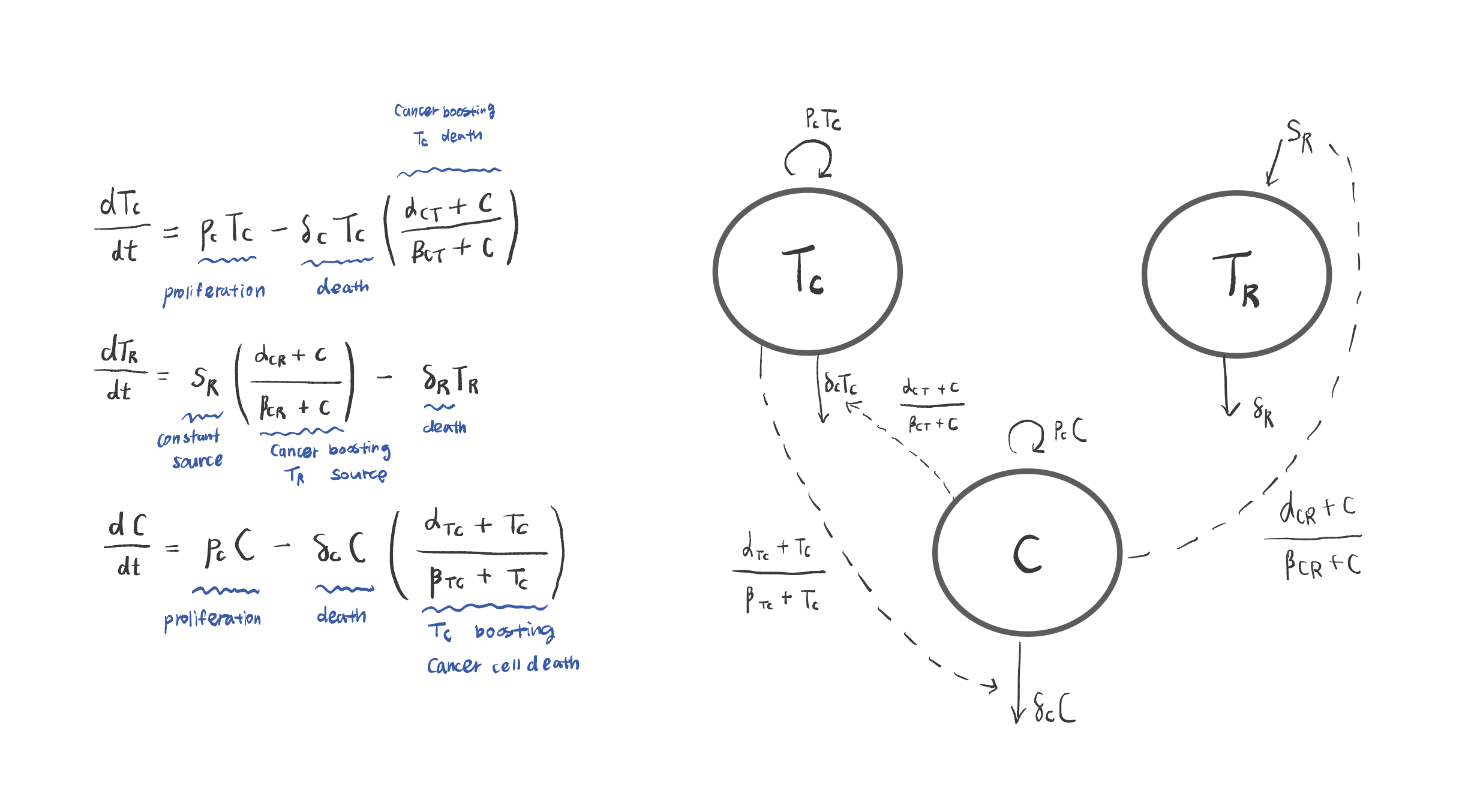 equations to diagram